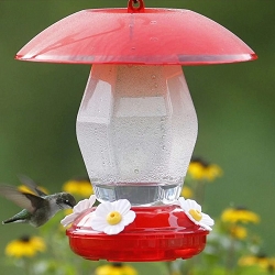 Jubilee Hummingbird Feeder Red 20 oz.
